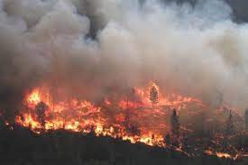 What kind of mask should be wearing for Wild Fire Smoke?