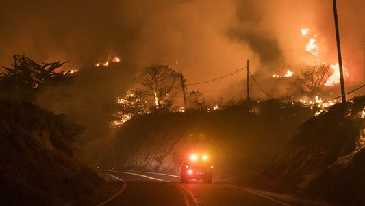 wildfire smoke