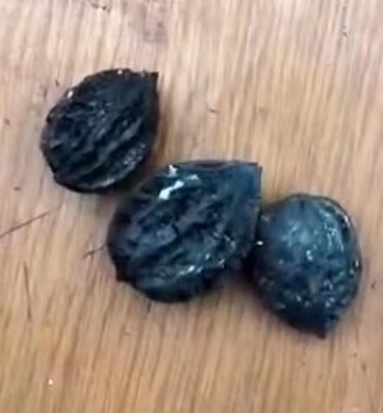 Walnut Charcoal for BBQ without smoking, better testing, longer time burning
