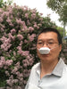 Nose Mask: remove pollen, odor, smoke, VOC's, antibiosis, no air leaking